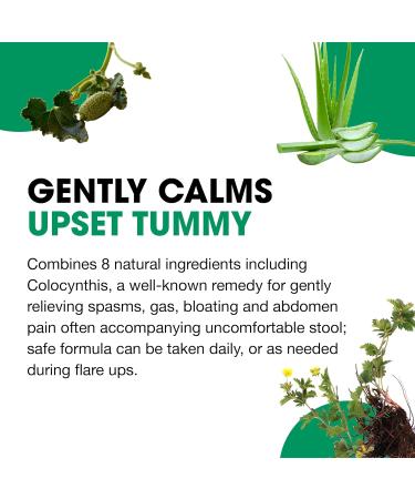 BHI Diarrhea Relief Fast-Acting Natural Remedy for Mild Diarrhea - 8 Soothing Homeopathic Actives Help Calm Stomach Ache Gas & Cramps for Women & Men - 100 Tablets (Pack of 2) - Buy Online on GoSupps.com