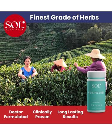 Sol Nutrition Healthy Liver Supplement: Cleanse Supplement for Liver Health Encourages Liver Enzymes Production Increased Metabolism 60 Easy-to-Swallow Capsules - Buy Online on GoSupps.com