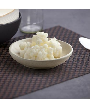 Curly Superfood Bio Kefirilz Set - 10g Organic Kefir Starter Cultures from Germany - Make Real Milk Kefir at Home - Buy Online on GoSupps.com