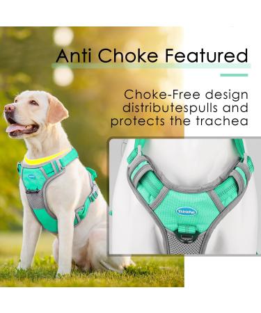 Thinkpet Anti Zug Dog Harness | Adjustable No-Choke Control Harness with Handle | Reflective & Breathable Dog Gear (Large Blue-Green) - 1 Pack - Buy Online on GoSupps.com