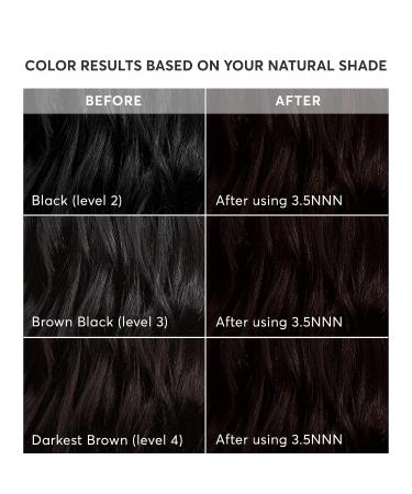 Madison Reed Radiant Hair Color Kit - Ravenna Brown 3.5NNN | Shades of Black - Buy Online on GoSupps.com