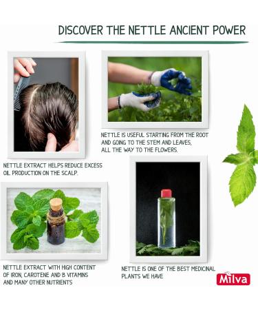 Milva Shampoo for Oily Hair with Nettle Extract - 500 ml Natural Shampoo - Oil-Reducing and Anti-Dandruff Shampoo for Men and Women - Care for Oily Hair - Volume & Shine Shampoo - Buy Online on GoSupps.com