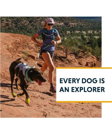 Buy Luffwear Swamp Cool Dog Harness - Adjustable & Cooling Running Gear in Heliotrope Purple (X-Small 43-56cm) - Perfect for Hot Weather - Buy Online on GoSupps.com