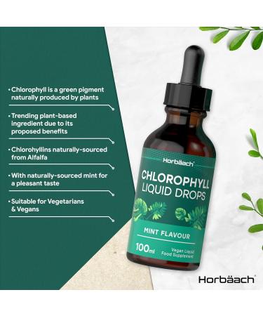 Liquid Chlorophyll Drops for Water | 100ml - 3+ Months Supply | Vegan Liquid Food Supplement Extracted from Alfalfa | Mint Flavour | by Horbaach - Buy Online on GoSupps.com