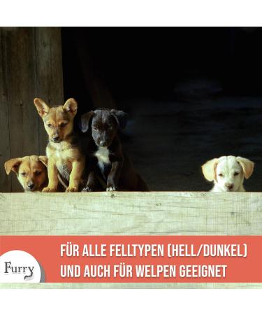 Furry Sensitive Dog Shampoo Perfume-Free Vegan All Fur Types Puppies & Dogs Made in Germany 250ml - Buy Online on GoSupps.com