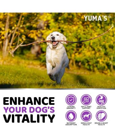 Dog Multivitamin Chewable with Glucosamine - 23 in 1 - Dog Vitamins and Supplements - 170 Chews - Senior & Puppy Multivitamin for Dogs - Hip & Joint Support - Immune Health Skin Digestion Chicken 170 Soft Chews - Buy Online on GoSupps.com
