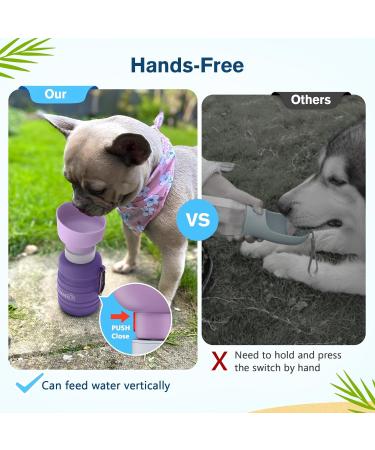 Pecute Dog Water Bottle - Foldable 850ml Non-Toxic Pet Drinking Bottle for Outdoor Adventures | Safe & Portable Dog Hydration in Purple XL - Buy Online on GoSupps.com