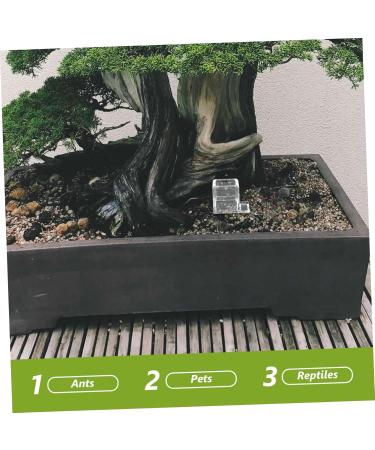 Sosoport Pet Water Feeder Ants Water Feeding Small Ants Feeder Ants Water Feeder Ants Feed Bowl Plastic 1 count (Pack of 1) - Buy Online on GoSupps.com