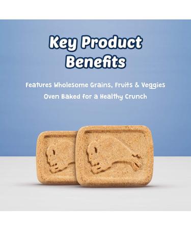Blue Buffalo Pumpkin & Cinnamon Health Bars Dog Treats 16oz - Natural Crunchy Treats - Buy Online on GoSupps.com