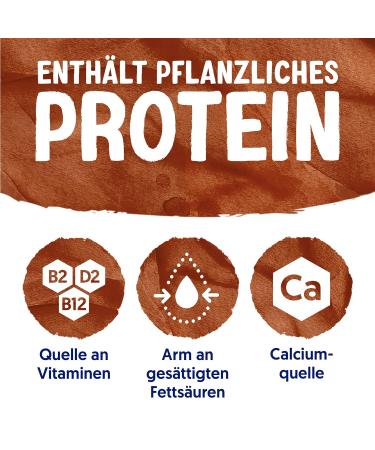 Alpro Chocolate Taste Drink - 100% Plant-Based Lactose-Free Calcium & Vitamin D 8x1L Pack - Buy Online on GoSupps.com