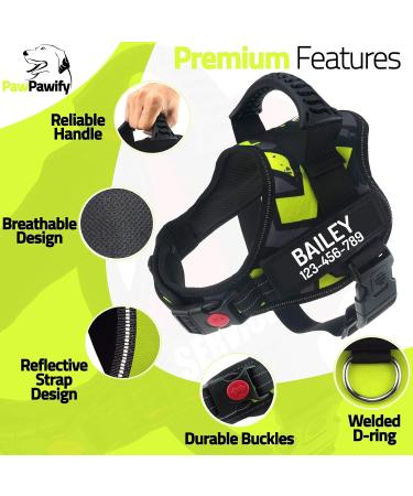 Pawpawify Personalized Dog Harness Anti-Pull Durable XL (32-44in) for Training & Walking Green Doodle - Buy Online on GoSupps.com