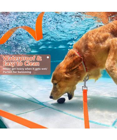 Buy Iokheira Waterproof Dog Leash - Padded Handle 10m Orange Perfect for Training Tracking & Camping - Buy Online on GoSupps.com