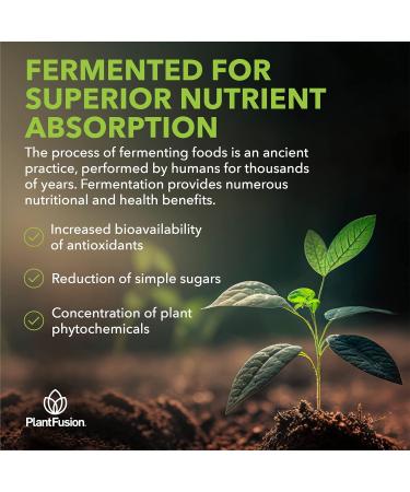 PlantFusion Fruitful Super Greens Powder - Organic Fermented Juice Blend with Probiotics Prebiotic Fiber & Digestive Enzymes Non-GMO Vegan Gluten-Free - 30 Servings - Buy Online on GoSupps.com