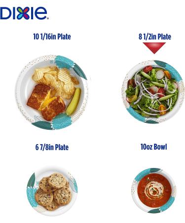 Dixie 8-inch Printed Disposable Paper Plates - 90 Count Pack, Lunch/Dinner Size - Packaging & Design Varies - Buy Online on GoSupps.com