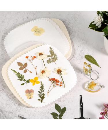Aboofx Microwave Flower Press 6.3x6.3 inch - Fast Flower Pressing Kit for Adults - DIY Arts and Crafts - Ideal Gifts - Buy Online on GoSupps.com