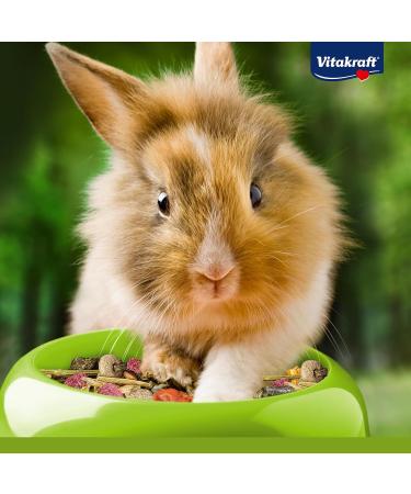 Vita Power Menu Vital for Dwarf Rabbits - 3kg Feed with Lucerne Apple Pumpkin & Herbs - No Sugar or Grain - International Shipping Available - Buy Online on GoSupps.com
