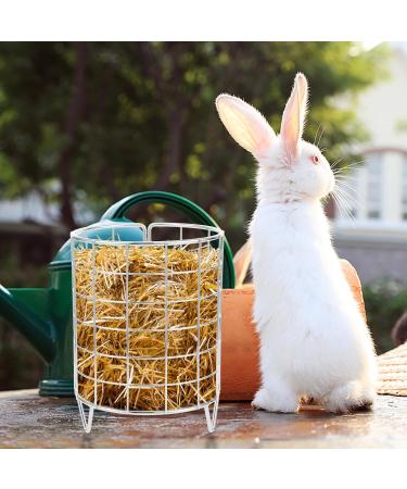 PATKAW Metal Rabbit Grass Feeder Free Standing Bunny Grass Feeder Rack Small Animals Feeding Holder Rabbit Cage Grass Dispenser Bunny Food Manger Rack - Buy Online on GoSupps.com