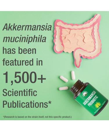 Akkermansia Probiotic to Increase GLP-1 Production. Ultra High Strength Akkermansia Muciniphila Live Strain With Prebiotic Fiber for Gut Health & Microbiome Balance. Delayed Release 3rd Party Tested - Buy Online on GoSupps.com