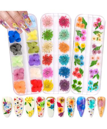 Warmfits Dried Flowers for Nails 120pcs/set 3D Real Encapsulated Nail Pressed Flowers for Nail Art & Resin Craft DIY - Gypsophila  Five Petals Flowers  Leaves  Hydrangea Macrophylla (Pattern A)