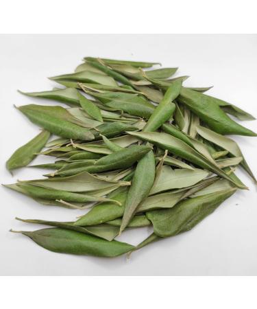 AgoraMarket Greek Dried Olive Leaves 85 Grams 195 Kilo Class A 220 grams - Buy Online on GoSupps.com