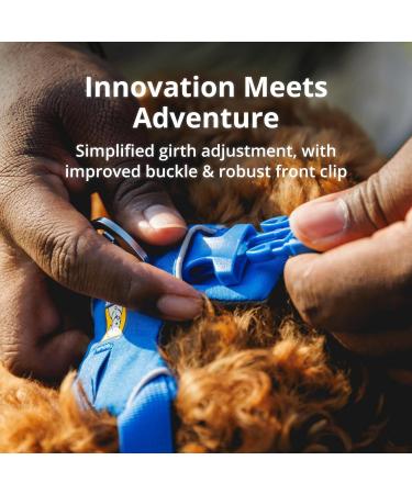 Shop Luffwear Front Range Dog Harness | Reflective Adjustable & Comfortable - Perfect for Walks & Races | Blue Pool M - Durable & Stylish - Buy Online on GoSupps.com