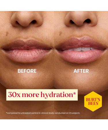  Burt's Bees Burt's Bees Birthday Cake Scented Lip Balm moisturizing lip care with beeswax and vitamin E 100% natural origin 4.25 g - Buy Online on GoSupps.com