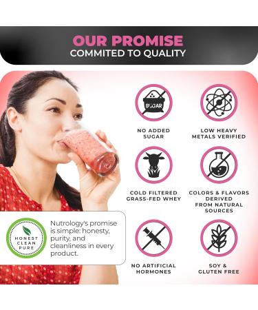 Nutrology TRIPACT Protein Powder 7-in-1 Meal Replacement Shake Superberry (40 Servings) Greens & Fruits Powder-Naturally Sourced Superfood Chocolate (30 Servings) - Buy Online on GoSupps.com