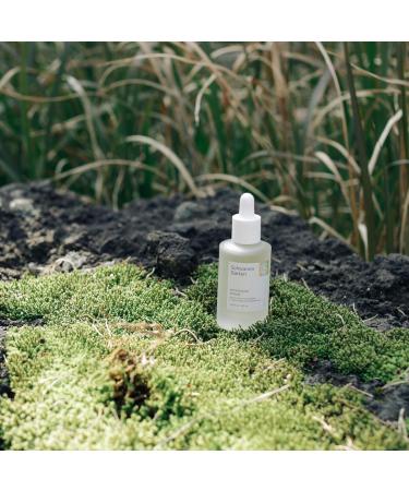 Buy Antioxidant Serum 1.35oz - Organic Vegan Korean Skincare | Essential Treatment with Handpicked Ingredients - Buy Online on GoSupps.com