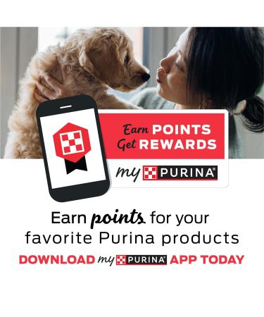 Purina Beyond Grain Free Dry Cat Food - Indoor Salmon & Egg 3 lb Bag - Buy Online on GoSupps.com