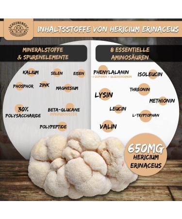 Buy Lions MAN 1950MG Daily Dose - 30:1 Hericium Erinaceus Extract | 30% Polysaccharides & 5% Beta Glucan | 180 Capsules - DE Scheunengut  - Buy Online on GoSupps.com