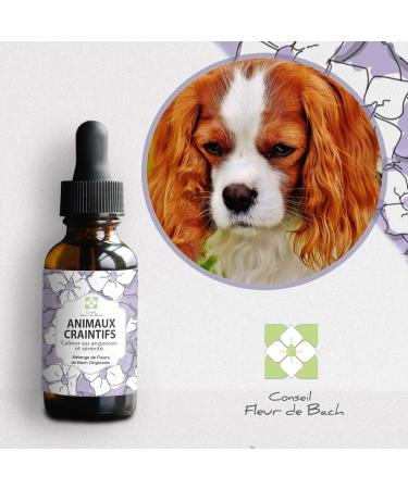Bach Flowers Fearful Animals - This mixture of Bach flowers will allow your pet to manage their fears and anxieties with more cold blood. 30 ml Pack of 2 - Buy Online on GoSupps.com