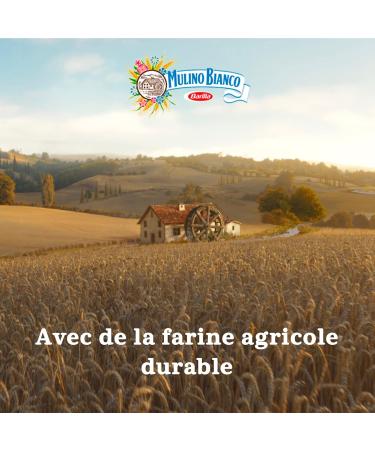  Mulino Bianco Mulino Bianco Nascondini shortbread biscuits with chocolate inside double consistency made from sustainable agricultural flours - 1 pack of 330 g - Buy Online on GoSupps.com