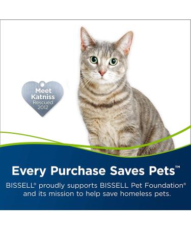 Bissell 74R7 Pet Stain & Odor Portable Machine Formula 32oz - Pet Stain Eraser - Buy Online on GoSupps.com