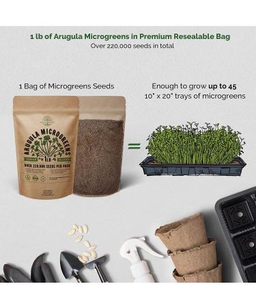 Arugula Sprouting & Microgreens Seeds - Non-GMO Heirloom Kit | 1lb Bulk Resealable Bag for Planting & Growing in Soil, Coconut Coir, Garden, Aerogarden, Hydroponic - Arugula Microgreen Seeds - Buy Online on GoSupps.com