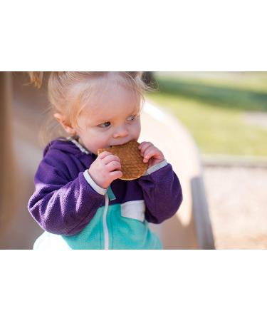 Sprout Organic Baby Food Stage 4 Toddler Snacks - Blueberry Apple and Pumpkin Butter Wafflez Variety Pack - 20 Single Serve Waffles - Buy Online on GoSupps.com