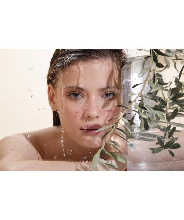 Dead Sea Naturals Soothing Body Cream - Intense Hydration & Comfort Relief with Exclusive Dead Sea Minerals | 6.7 Fl. Oz - Buy Online on GoSupps.com