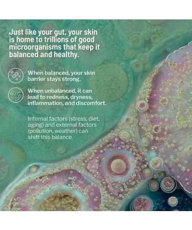 Dr. Brandt Clean Biotic - pH-Balancing Yogurt Cleanser - Melts Away Dirt Debris Pollution Makeup Sunscreen & Excess Oil - 3.5 fl oz Pack of 2 - Buy Online on GoSupps.com