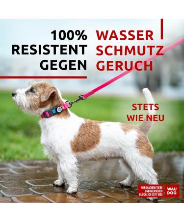 Adjustable Waterproof Dog Collars | Waudog - Durable Collars for Big & Small Dogs and Puppies - Buy Online on GoSupps.com