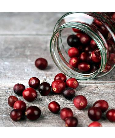 Earthbreath Raw Honey & Cranberries - 250g - Unpasteurized - Alternative to Pure Natural Jam - No Additives No Sugar - Buy Online on GoSupps.com