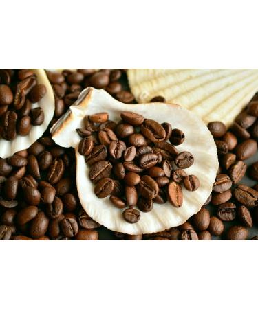  C&T Central American coffee specialty - Guatemala the land of the Maya (100g) - Country coffee - Premium quality coffee - Low acidity and healthy mild and freshly roasted - Buy Online on GoSupps.com