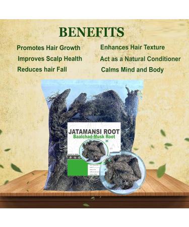 sm Racine de jatamansi 100 g Baalchadd racine de musc pis nardostachys tapasvini racine de jatamasi (lot de 1 x 100 g) - Buy Online on GoSupps.com