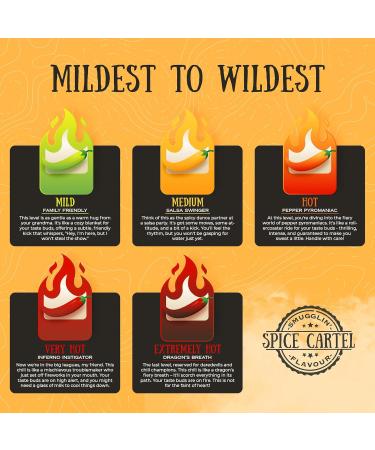 Authentic Asian Street Food Collection | Handcrafted Spice Mixtures & Handicrafts | Spice Cartell - 4x35G Eco-Friendly Bags - Buy Online on GoSupps.com