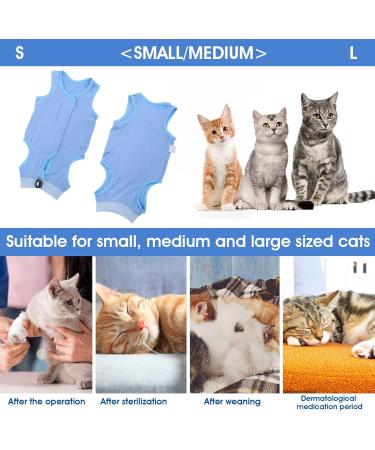 Molain Cat Professional Recovery Suit for Abdominal Wounds or Skin Diseases After Surgery E-Collar Alternative for Cats Anti Licking Pajama Suit Kittens Surgery Recovery Suit (Blue M Size) - Buy Online on GoSupps.com