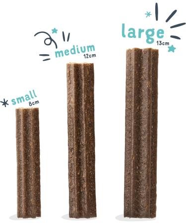 Edgard & Cooper Treats Dental Stick Medium - Eucalyptus & Apple - (8 x 7 stick pack) Natural Dog Chew Sticks Dental Hygiene One per Day Low Calorie Long Chewing Fresh Breath Eucalyptus/Apple 1 count (Pack of 56) - Buy Online on GoSupps.com