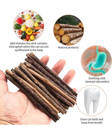 Newoutset 33 Pcs Cat Catnip Sticks Cat Catnip Chew Toys Natural Silvervine Matatabi Catnip Sticks Toys Cat Kitten Teething Toys Sticks for Cat Kitten Teeth Cleaning Including 3 x Cat Mouse Toy - Buy Online on GoSupps.com