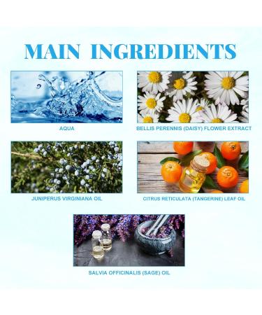 Ocean Fragrance Mist Long Lasting Fresh Perfume Spray Summer Breeze Eau De Parfum Tranquil Ocean Fragrance Mist Enhance Elegance and Confidence (1 Pcs) 3.53 Fl Oz (Pack of 1) - Buy Online on GoSupps.com