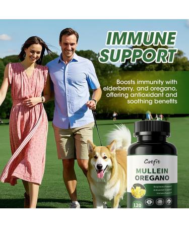 Mullein Oregano Oil Capsules for Lungs Detox-7 in 1Pure Herbal Mullein Leaf Extract, Elderberry, Turmeric,Mentha for Respiratory & Immune Support, Lung Cleanse for Smokers,Vegan,Non-GMO (120 Caps) 120 Count (Pack of 1) - Buy Online on GoSupps.com