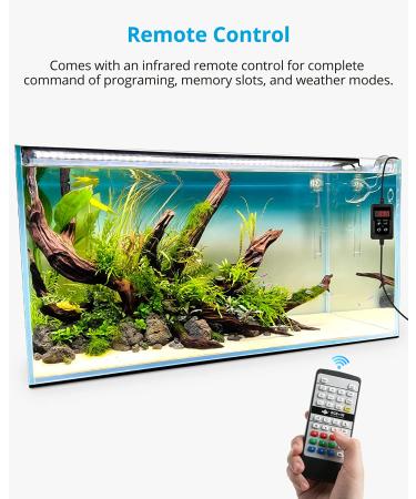 NICREW RGB+W 24/7 LED Aquarium Light | Full Spectrum Planted Fish Tank Light with Remote | 17W, 18-24 Inches - Buy Online on GoSupps.com