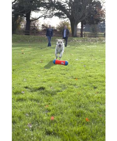 Buy Chuckit! CH184201 Tumble Bumper Medium - Best International Shipping for Pet Toys - Buy Online on GoSupps.com