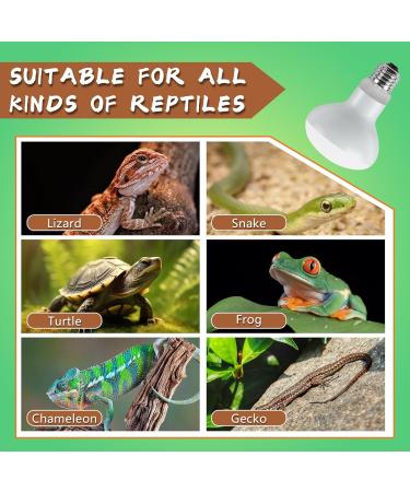 LUCKY HERP 2 Pack 100W UVA Reptile Heat Lamp Bulb Amphibian Basking Spot Light Bulb Reptile Daylight Bulb for Turtle Bearded Dragon Lizard Heating Use 100W(2 Pack) - Buy Online on GoSupps.com